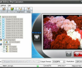 dvdXsoft DVD to iPod Converter Screenshot 0