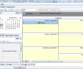 A VIP Task Manager Professional Edition Screenshot 2