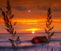 7art Landscape ScreenSaver Screenshot 0