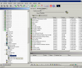 DameWare NT Utilities Screenshot 0