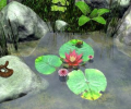 Water Lily 2 Screenshot 0