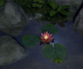 Water Lily Screenshot 0