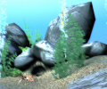 Free 3D Marine Screensaver Screenshot 0