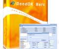 GoodOk WMV Video Converter Screenshot 0