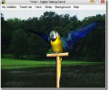 AV Digital Talking Parrot Screenshot 0