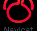 Navicat for Oracle (macOS) - the best GUI database tool for your work Screenshot 0