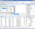dotConnect Express for PostgreSQL Screenshot 0