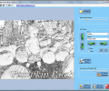 Kidware Photo Color Screenshot 0