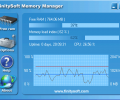 FinitySoft Memory Manager Screenshot 0