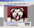 MPEG-VCR Screenshot 0