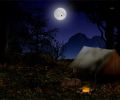 Night in the Forest - Animated Desktop Screenshot 0