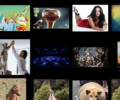 Picturoid Screenshot 0