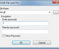 GiliSoft File Lock Pro Screenshot 4