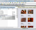 Risingware File Manager Screenshot 0