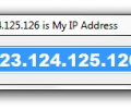 Display IP Address Screenshot 0