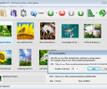 Flickr Gallery Screenshot 0