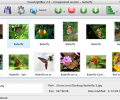 Flickr Gallery for Mac OS Screenshot 0