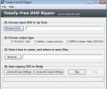 Totally Free DVD Ripper Screenshot 0
