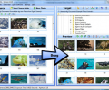 SortPix XL - Photo Organizing Software Screenshot 0