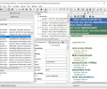 tlTerm Terminology Software Screenshot 0