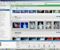 Google Picasa for Linux Screenshot 0