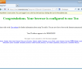 Tor Browser Screenshot 9