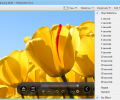 Honeyview Image Viewer Screenshot 6