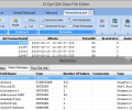 Q-Eye QVD/QVX files Editor (32 Bit) Screenshot 0