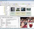 XnView MP Screenshot 3