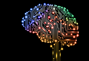 Digital brain
