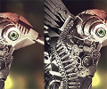 How Image Resizing Works And How To Magnify Images Without Significant Quality Loss How Image Resizing Works And How To Magnify Images Without Significant Quality Loss
