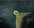 2 thumb Game Review Protect yourself from the horrors of the dark in  Darkwood PC Mac Linux