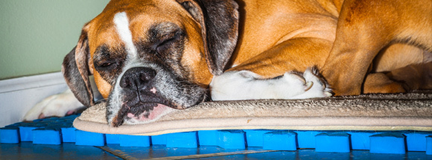 4 full How to Reduce Computer Eyestrain and Potentially Boost Your Productivity 4 full How to Reduce Computer Eyestrain and Potentially Boost Your Productivity