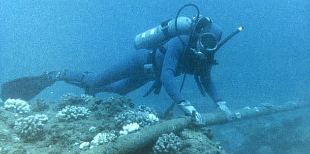 1 full Google Helps Pay For FASTER Undersea Cable To Asia 1 full Google Helps Pay For FASTER Undersea Cable To Asia