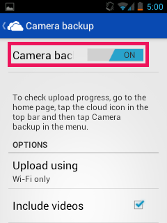 Then go to the Camera Backup option and turn it on