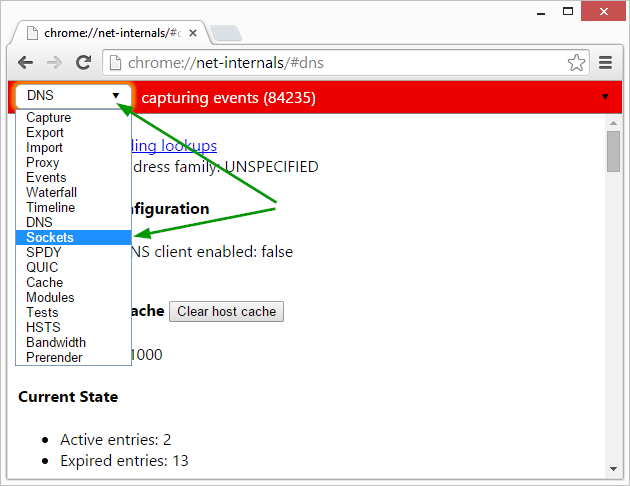 4 full How to Flush or Clear Reset Google Chromes DNS Cache and Sockets 4 full How to Flush or Clear Reset Google Chromes DNS Cache and Sockets