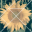 3-way TANGRAM 8.2 3-way TANGRAM 8.2 32x32 pixels icon