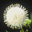 7 Days to Happiness, Success & Wealth 1.0 7 Days to Happiness, Success & Wealth 1.0 32x32 pixels icon