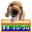 Cute Puppy Clock 1.2.9 Cute Puppy Clock 1.2.9 32x32 pixels icon