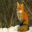 Fox Screensavers 1.0 32x32 pixels icon