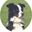 Goldie's Game- TMA36 26Jul09 Goldie's Game- TMA36 26Jul09 32x32 pixels icon