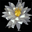 Lessons Learned Server for Linux 1.2.0 Lessons Learned Server for Linux 1.2.0 32x32 pixels icon