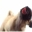Licking Dog Screen Cleaner Screen Saver 2.0 Licking Dog Screen Cleaner Screen Saver 2.0 32x32 pixels icon