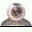 MultiCam Alarm 1.1.9 MultiCam Alarm 1.1.9 32x32 pixels icon