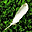 Nice Feathers Free Screensaver 2.0.2.7 Nice Feathers Free Screensaver 2.0.2.7 32x32 pixels icon