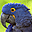 Parrots Free Screensaver 2.0.2 32x32 pixels icon