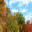 Perfect Autumn Screensaver 1 Perfect Autumn Screensaver 1 32x32 pixels icon