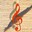 Pizzicato Light 3.6 Pizzicato Light 3.6 32x32 pixels icon
