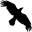 Data Crow 4.1.1 Data Crow 4.1.1 32x32 pixels icon
