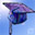 Student Life 3.0.8 Student Life 3.0.8 32x32 pixels icon